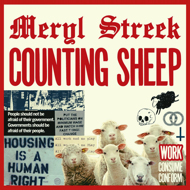 Meryl Streek - Counting Sheep