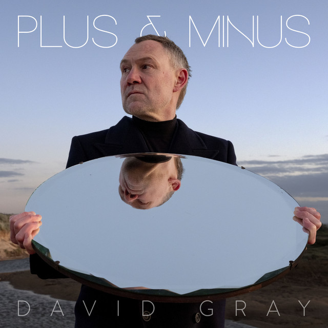 David Gray - Plus & Minus