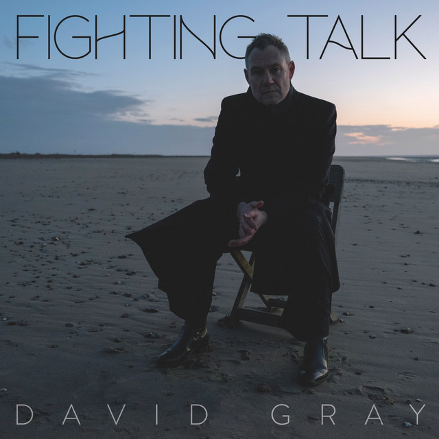 David Gray - Fighting Talk