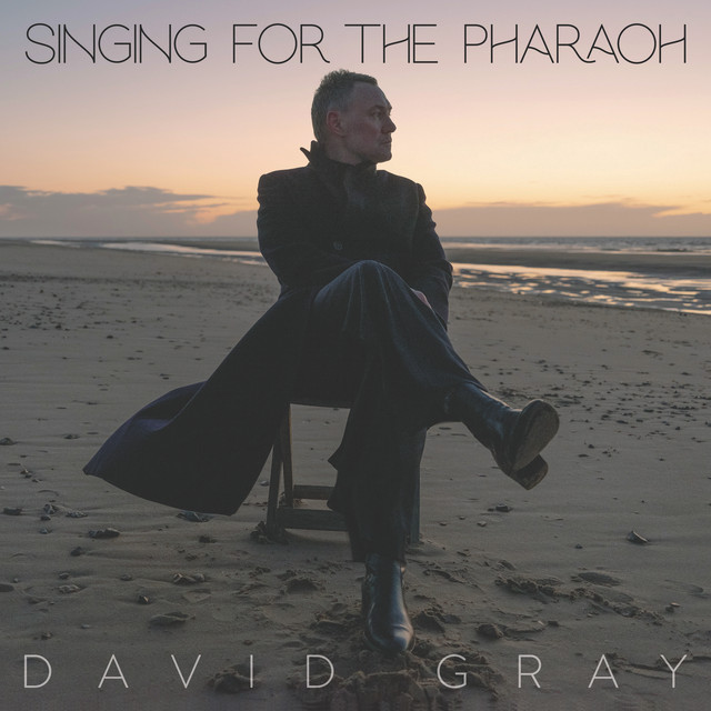 David Gray - Singing For The Pharaoh