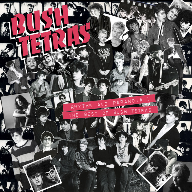 Bush Tetras - You Can't Be Funky