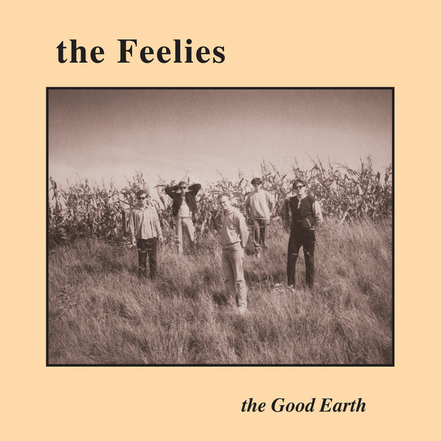 The Feelies - The High Road