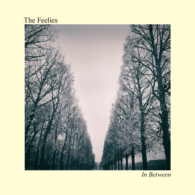The Feelies - Stay The Course