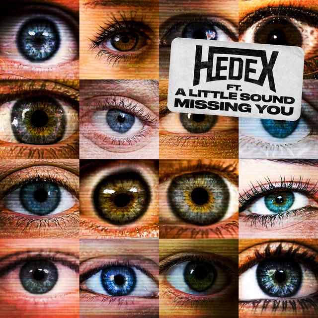 Hedex - Missing You