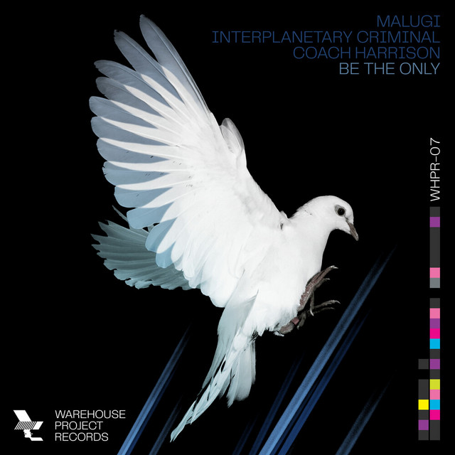 Malugi, Interplanetary Criminal & Coach Harrison - Be The Only