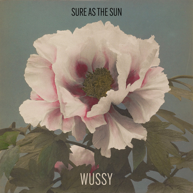 Wussy - Sure As The Sun