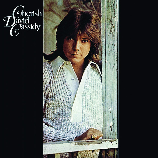 David Cassidy - Could It Be Forever