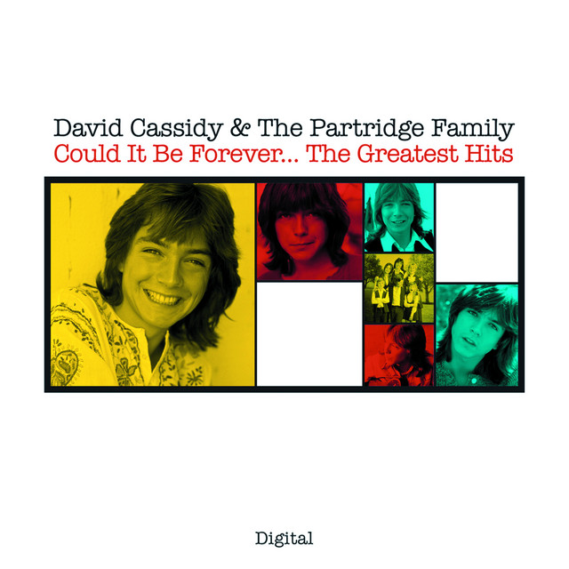 The Partridge Family - I Think I Love You