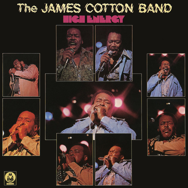 The James Cotton Band - Rock'N'Roll Music (Ain't Nothing New)