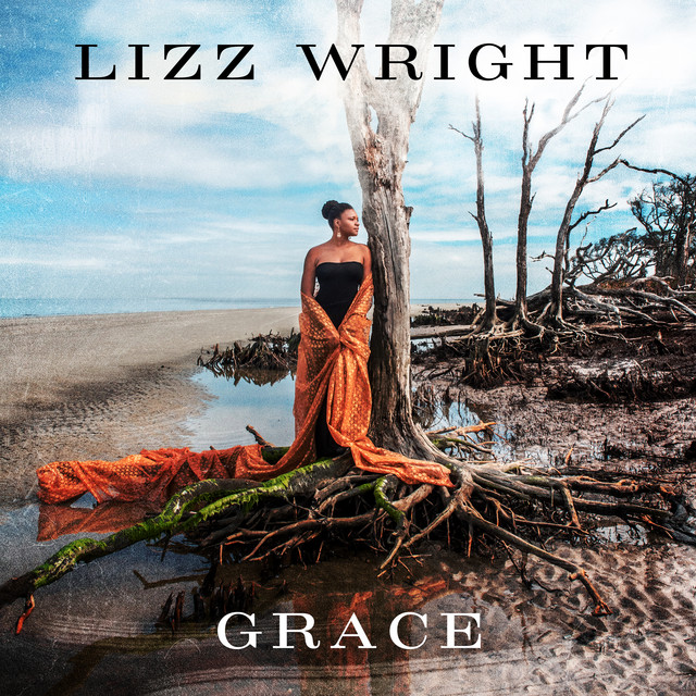 Lizz Wright - Stars Fell On Alabama