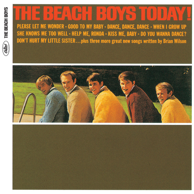 The Beach Boys - When I Grow Up To Be A Man