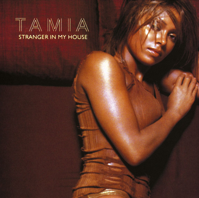 Tamia - Stranger in My House (Thunderpuss Radio Mix)