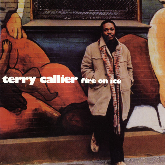 Terry Callier - Holdin' On