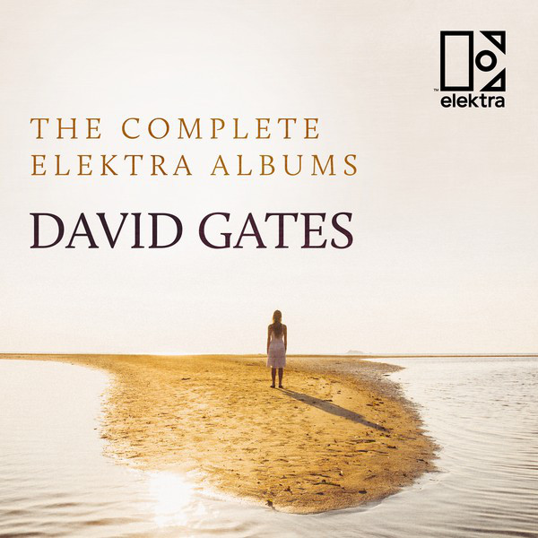 David Gates - Took The Last Train