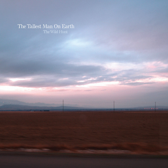 The Tallest Man On Earth - King Of Spain