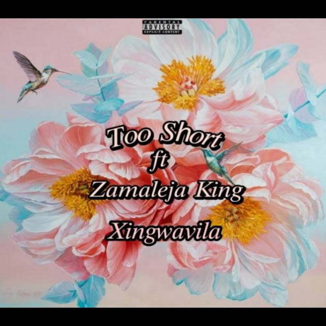 Zamalenja King - Blow the Whistle