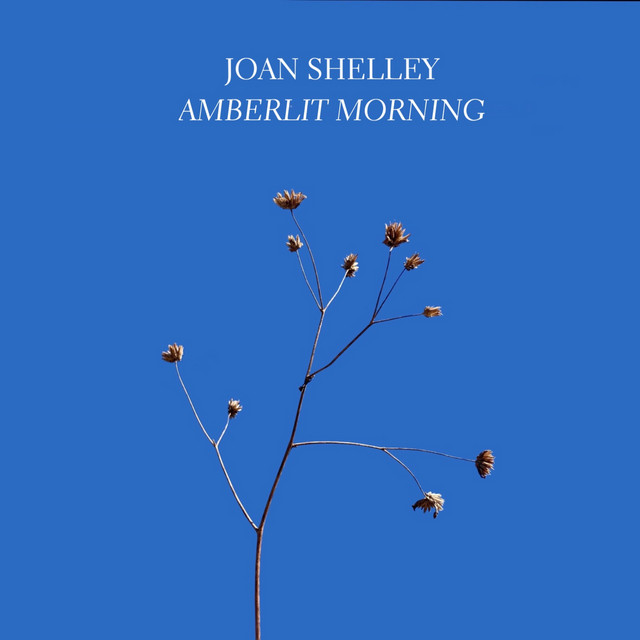 Joan Shelley - Amberlit Morning Feat. Bill Callahan