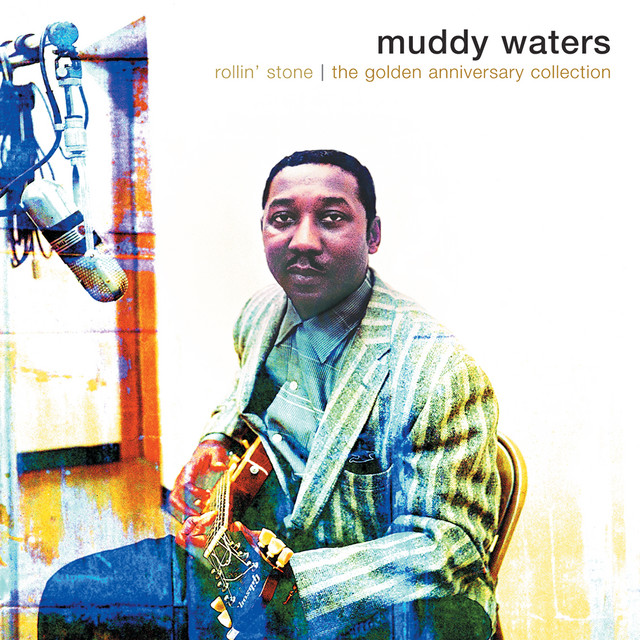 Muddy Waters - Mean Red Spider