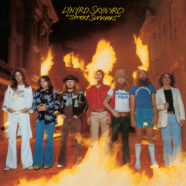 Lynyrd Skynyrd - What's Your Name