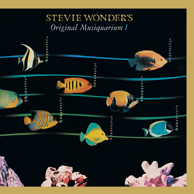 Stevie Wonder - Do I Do (Album Version)