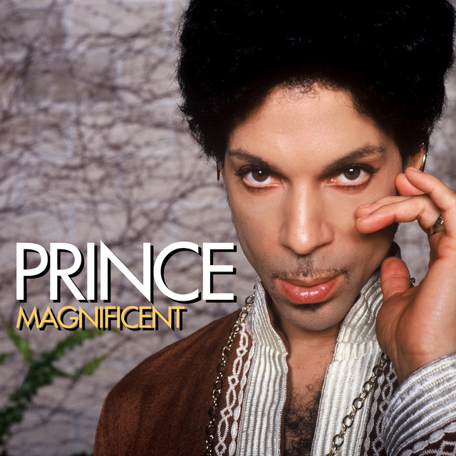 Prince - #704 Dear Mr. Man