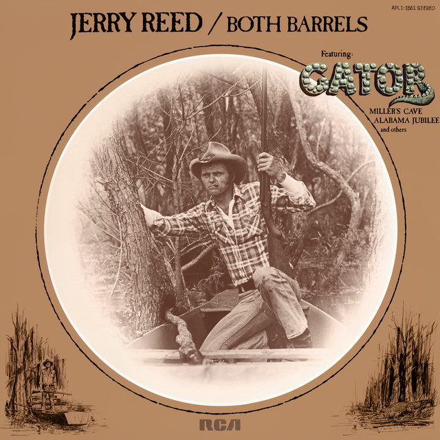 Jerry Reed - I Hurt On The Other Side