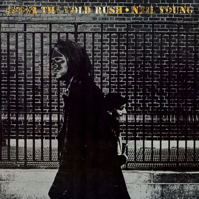 Neil Young - Southern Man