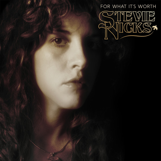 Stevie Nicks - For What It's Worth