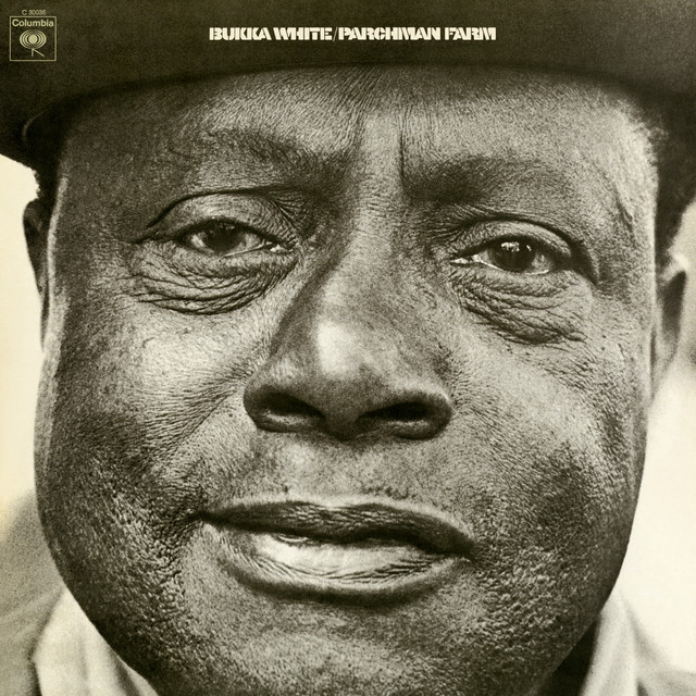 Bukka White - Black Train Blues