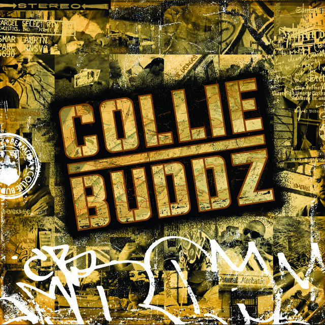 Collie Buddz - Come Around