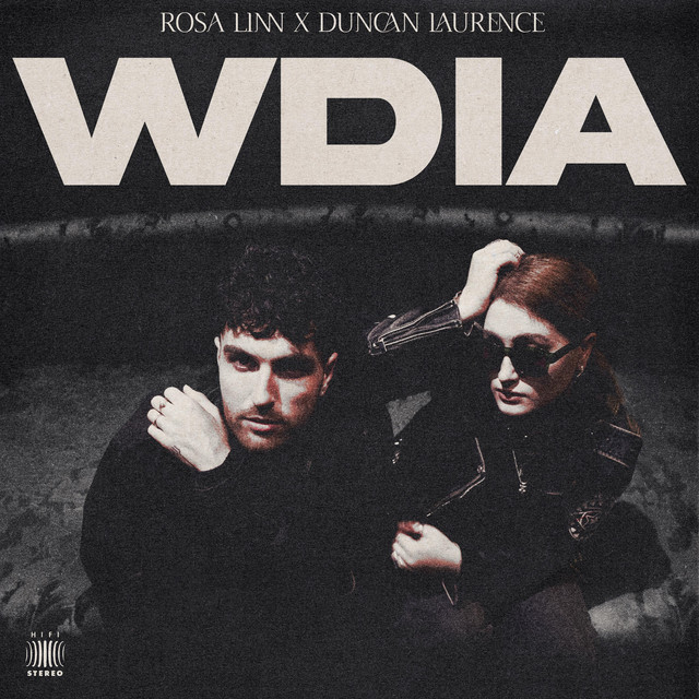 Duncan Laurence - WDIA (Would Do It Again)