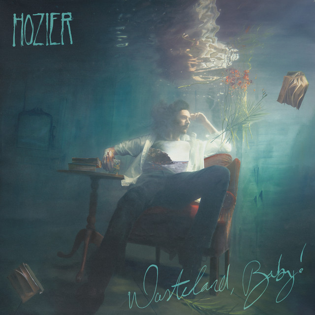 Hozier - Why Would You Be Loved