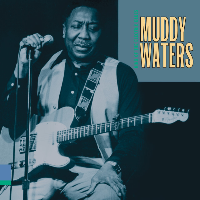 Muddy Waters - I'm your hoochie coochie man
