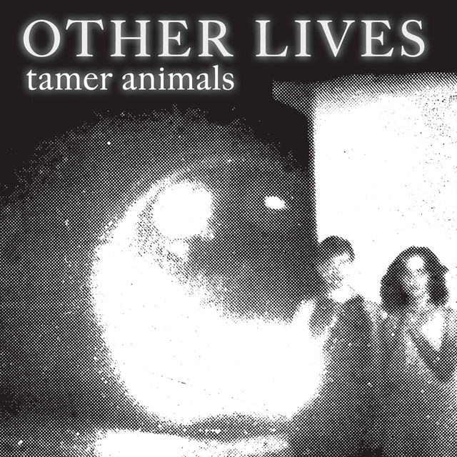 Other Lives - Tamer Animals