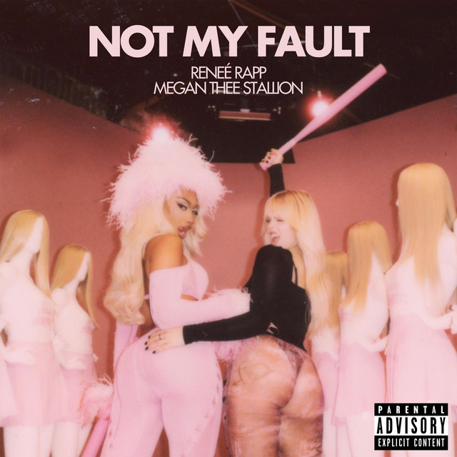 Megan Thee Stallion - Not My Fault