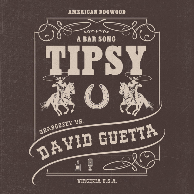 Shaboozey & David Guetta - A Bar Song (Tipsy) (Remix)