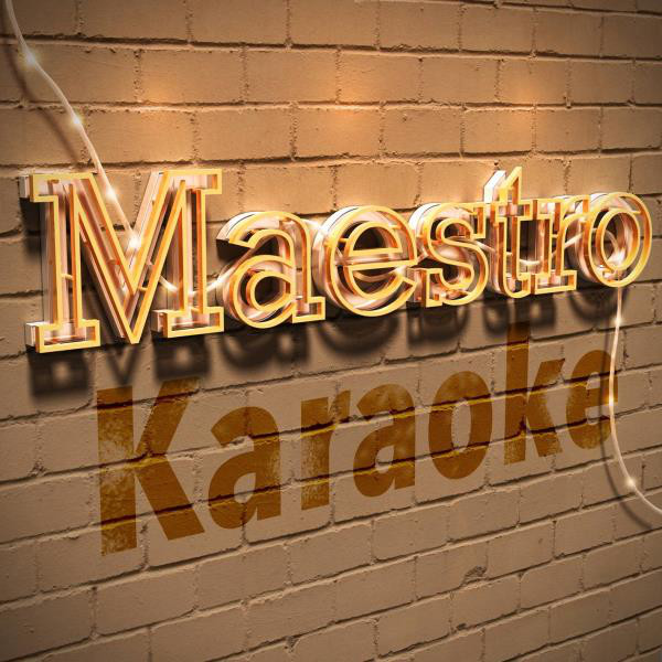 2014 Maestro Karaoke - True Love