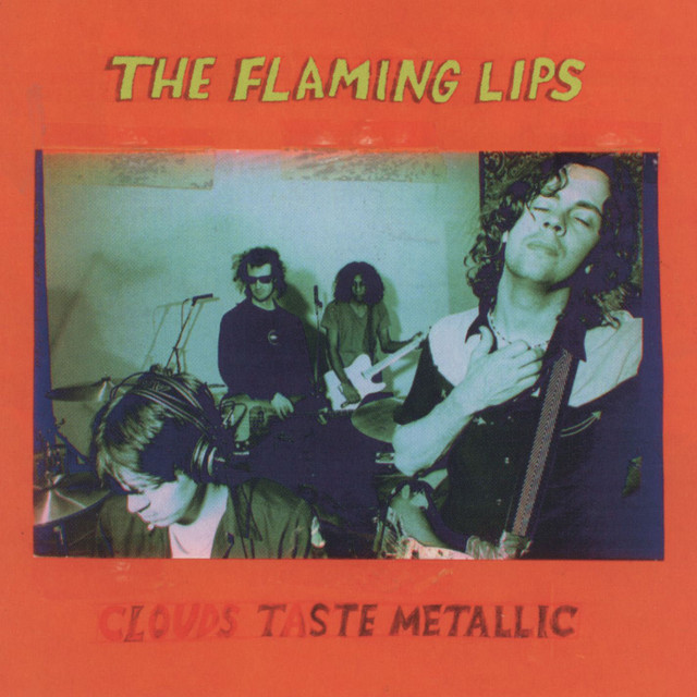 The Flaming Lips - Christmas at the Zoo