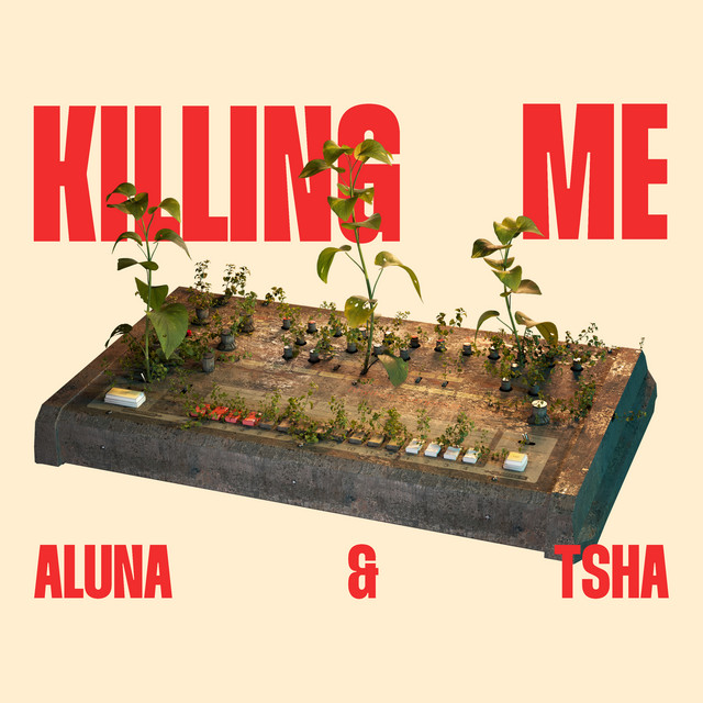 TSHA - Killing me